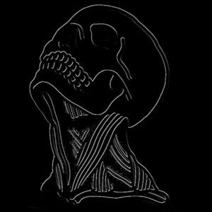 Meet your Posher, Johnny